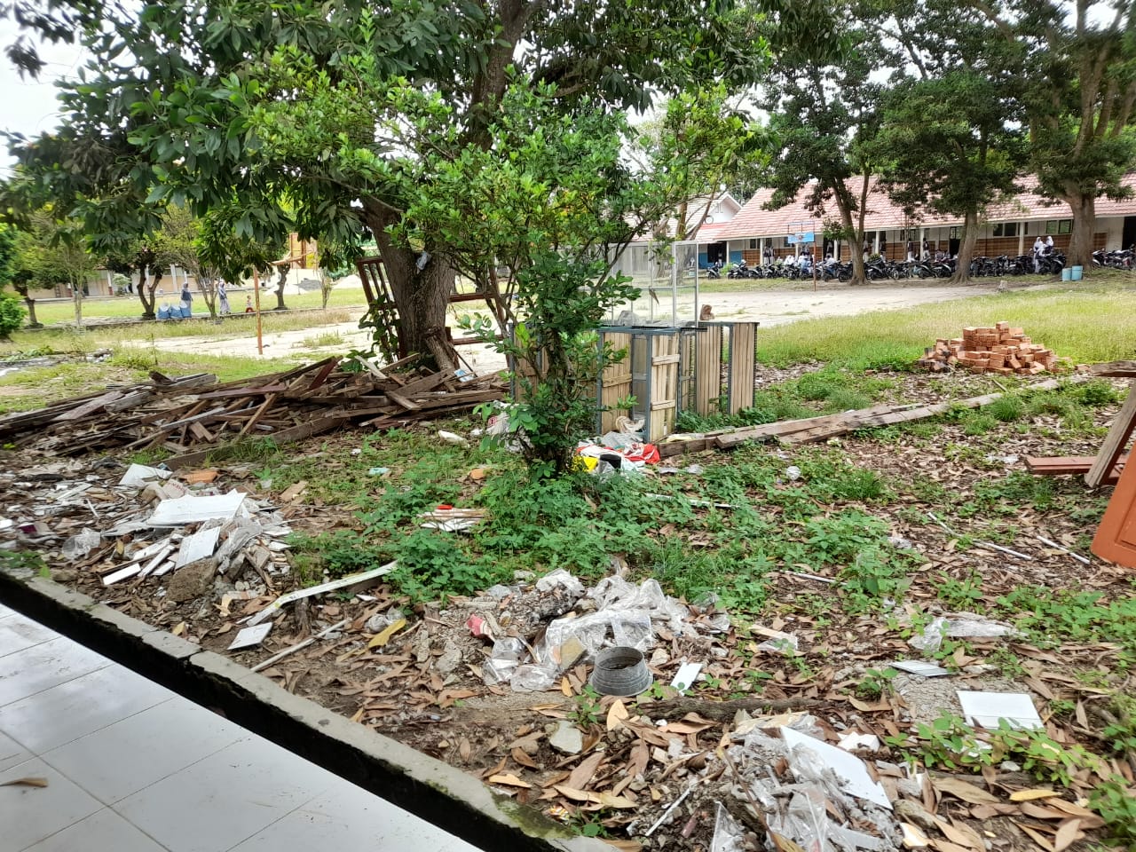 Kepsek Klarifikasi Soal Hamparan Halaman dan Lingkungan SMPN 1 Rantau Panjang Penuh Sampa Semak dengan Rumput