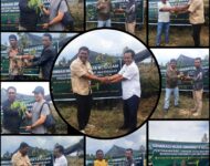 Dukung Pelestarian Lingkungan di Kab Samosir, Forum Generasi Muda Simarmata, bagikan 1500 Bibit Durian & Alpokat