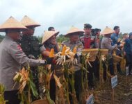 Kapolda Sumsel Irjen Pol Andi Rian R Djajadi Hadiri dan Pimpin Langsung Panen Raya Jagung Pipil di Ogan Ilir