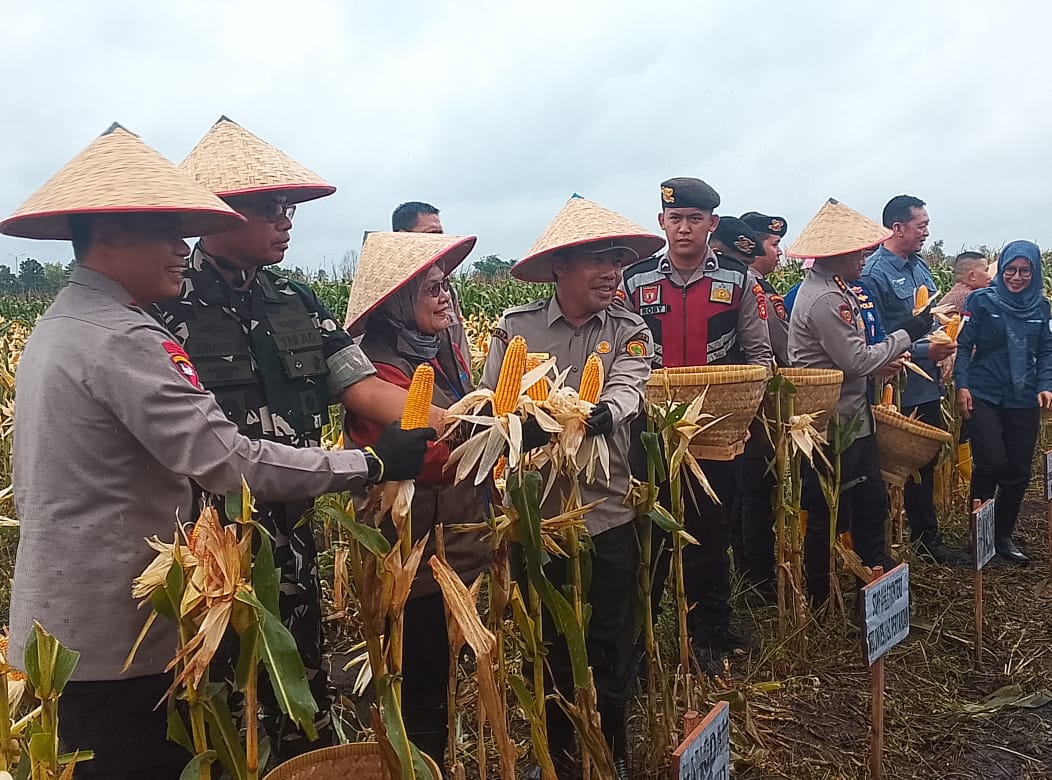 Kapolda Sumsel Irjen Pol Andi Rian R Djajadi Hadiri dan Pimpin Langsung Panen Raya Jagung Pipil di Ogan Ilir