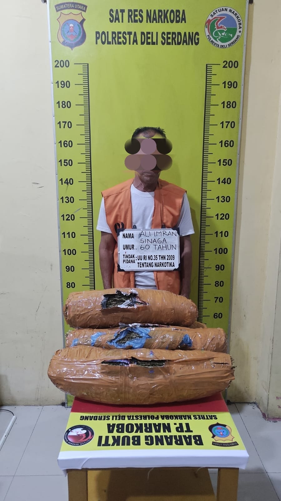 Bawa Ganja 4 Kg, Imran Sinaga Warga Tanjung Balai Ditangkap