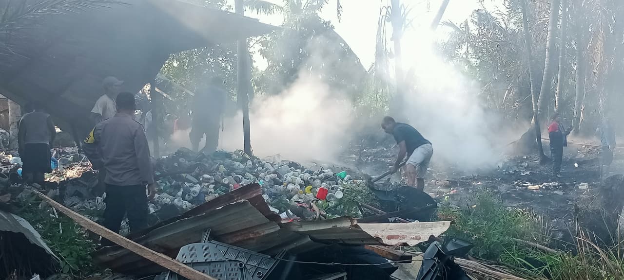 Sijago Merah Lalap Gudang Botot di Pantai Labu