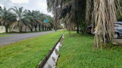 Pembangunan Drainase Diduga Dikerjakan Asal-asalan, Air Tergenang dan Tak Mengalir
