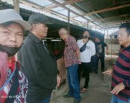 Kadiman Pakpahan Mr Dreamer,  KEPEDULIAN SOSIAL: FAKTA atau MITOS