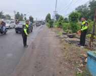 Naas, Pasutri Tewas Ditabrak Angkot