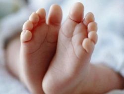 Fenomena Bayi Dibuang Karena Desakan Ekonomi Dinilai Karena Kemiskinan Sumsel Belum Terjawab