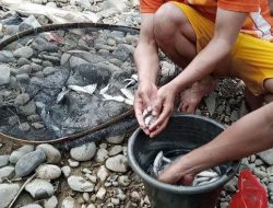 Sungai Cikaniki Bogor Diduga Tercemar, Adian Napitupulu Minta Pemerintah Turun Tangan