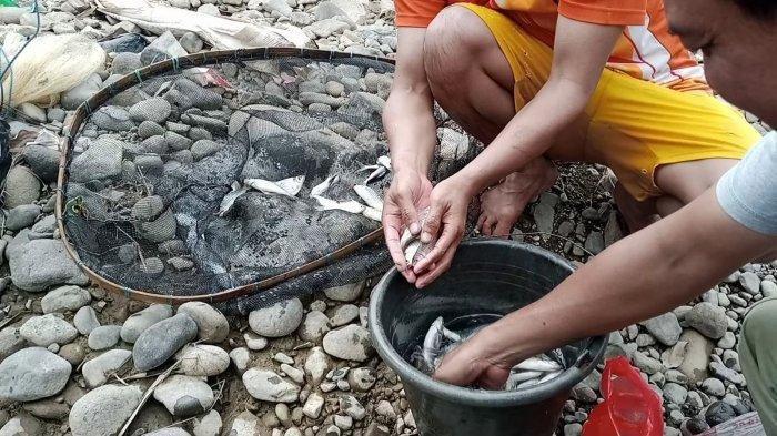 Sungai Cikaniki Bogor Diduga Tercemar, Adian Napitupulu Minta Pemerintah Turun Tangan