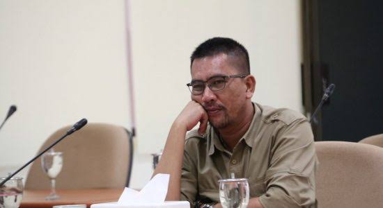 Subholding di Perkebunan Nusantara Langkah Tepat Erick Thohir Untuk Mengoptimalkan Asset dan Mendukung Ketahanan Pangan