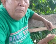 Korwil PMPHI Sumut Sebut Surat Purnawirawan TNI ke MPR/DPR Harus Ditindakjantuti