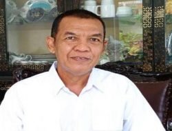 Cik Ujang Nahkodai Partai Demokrat Sumsel, Ini Analisa Pengamat Politik ForDes Bagindo Togar