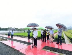 Tinjau Persemaian Rumpin, Presiden: Indonesia Serius Tangani Perubahan Iklim