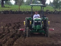 Momen Presiden Jokowi Tanam Jagung Pakai Traktor