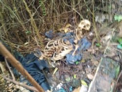 Kerangka Manusia Ditemukan Dilahan Kosong