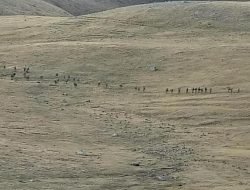 Gencatan Senjata terus Berlangsung antara Armenia dan Azerbaijan