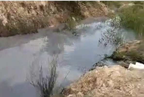 MIRIS...!!! EMBUNG DAN SUNGAI SERTA EKOSISTEM, TERCEMAR OLEH IPAL PT.BAKUNG LESTARI.