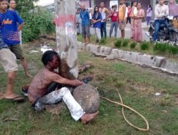 Curanmor Tewas Dihajar Massa