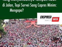 YANG DATANG TUMPAH RUAH DI JALAN, TAPI HASIL SURVEI ELEKTABILITAS SANG CAPRES MINIM: MENGAPA?