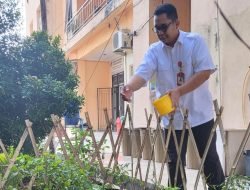 Tekan Inflasi, Camat Sako Amiruddin Sandy Ajak Warga Tanam Cabai Di Rumah