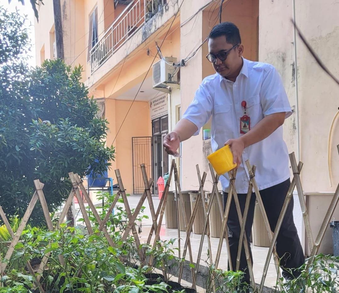 Tekan Inflasi, Camat Sako Amiruddin Sandy Ajak Warga Tanam Cabai Di Rumah Tekan Inflasi, Camat Sako Amiruddin Sandy Ajak Warga Tanam Cabai Di Rumah