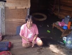 Rumah Ibu Gendot Roboh Di Makan Usia