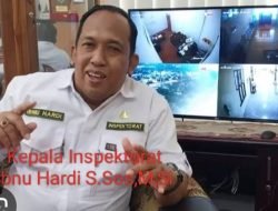 Guru P3K di Ogan Ilir, Rangkap Jabatan