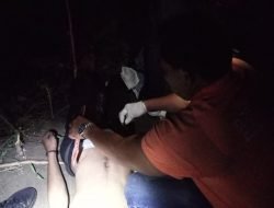 Warga Temukan Mayat Tergantung Di Pohon