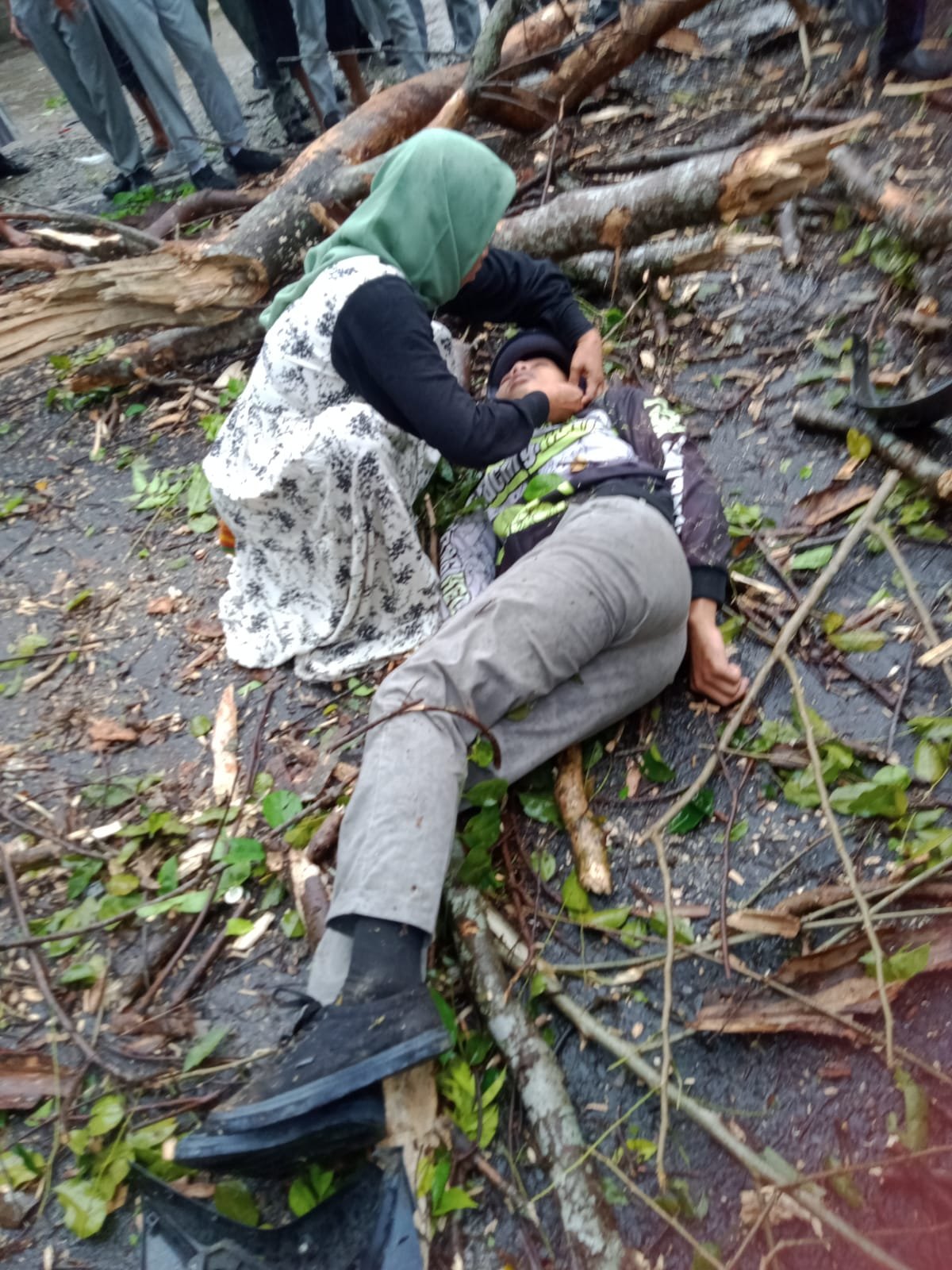 Hujan Deras Disertai Angin, Siswa SMKN 1 Lubuk Pakam Tertimpa Pohon Hujan Deras Disertai Angin, Siswa SMKN 1 Lubuk Pakam Tertimpa Pohon