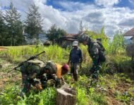 Galakkan Ketahanan Pangan, Satgas 323 Buaya Putih Edukasi Cara Berkebun
