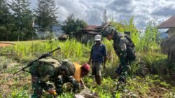 Galakkan Ketahanan Pangan, Satgas 323 Buaya Putih Edukasi Cara Berkebun Galakkan Ketahanan Pangan, Satgas 323 Buaya Putih Edukasi Cara Berkebun