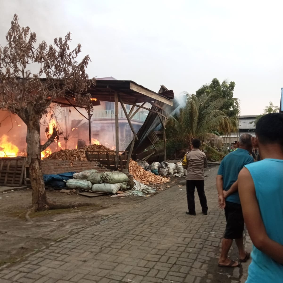 Pabrik Arang Dan Rumah Ludes Dilalap Sijago Merah