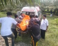 Diduga Tertimpa Bangunan, Karyawan PTPN Tewas Tergeletak