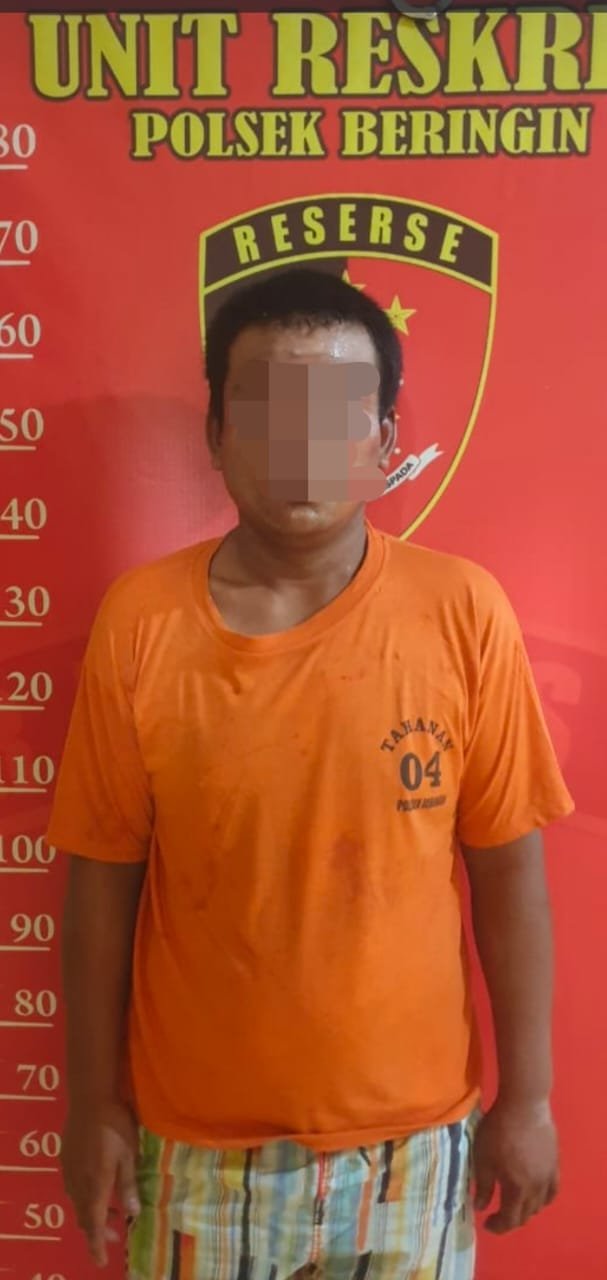 Curi Betor, Diamankan Polisi