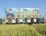 Danrem 044/Gapo Penen Raya Di Lempuing, OKI Menjadi Lumbung Pangan Nasional
