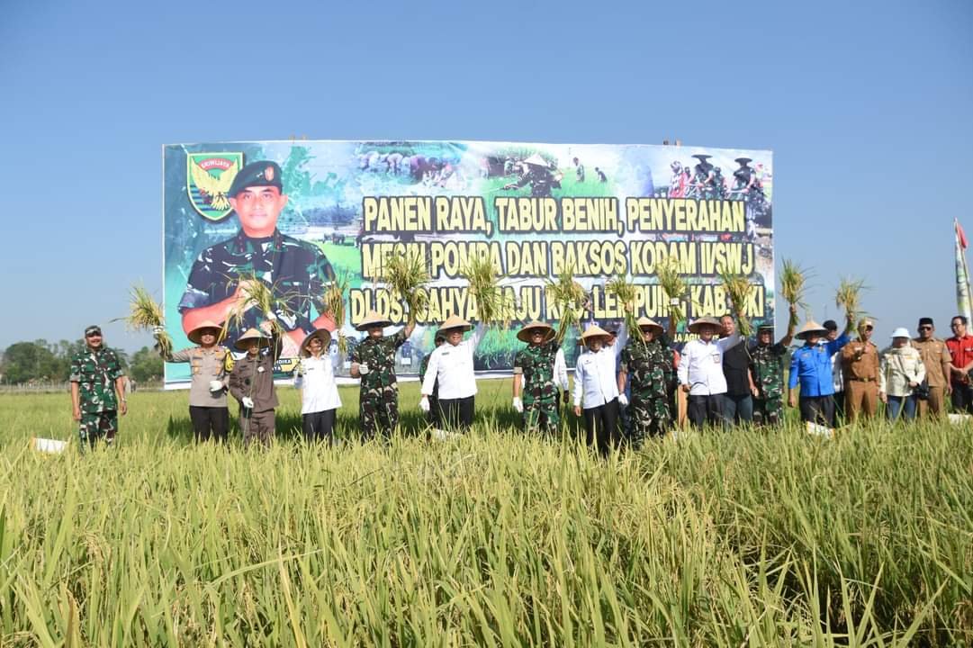 Danrem 044/Gapo Penen Raya Di Lempuing, OKI Menjadi Lumbung Pangan Nasional Danrem 044/Gapo Penen Raya Di Lempuing, OKI Menjadi Lumbung Pangan Nasional