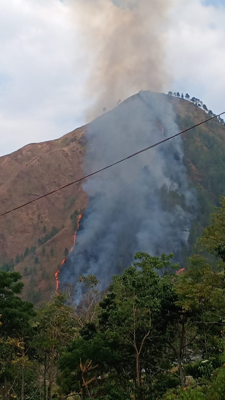 Dolok Sipatungan Terbakar, Warga Khawatir Api Meluas ke Permukiman Dolok Sipatungan Terbakar, Warga Khawatir Api Meluas ke Permukiman