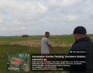 Padahal Dekat Sungai Ogan, 2.556 Hektar Sawah di Rantau Panjang Terancam Gagal Panen