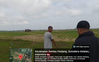 Padahal Dekat Sungai Ogan, 2.556 Hektar Sawah di Rantau Panjang Terancam Gagal Panen