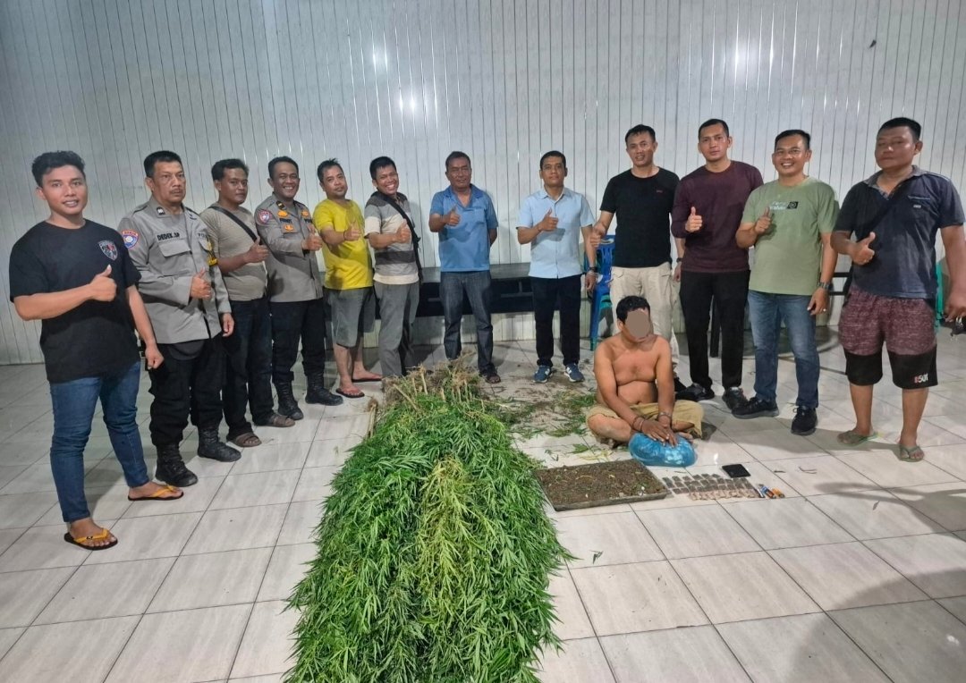 Tanam Ganja, Polsek Tanjung Morawa Amankan Pelaku