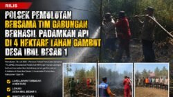 Polsek Pemulutan Bersama Tim Gabungan Berhasil Padamkan Api di 4 Hektare Lahan Gambut Desa Ibul Besar 1