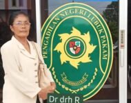 Rotua Wendeilyna Simarmata, Pulang ke Tanah Leluhur, Kiprah Mediasi, Jurnalistik, Paralegal Kasus Sejarah dan Hukum Adat Batak