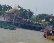 Menggelorakan Semangat Gotong Royong di Atas Sungai Musi: Pesona Tradisi Perahu Bidar yang Tak Tergerus Zaman