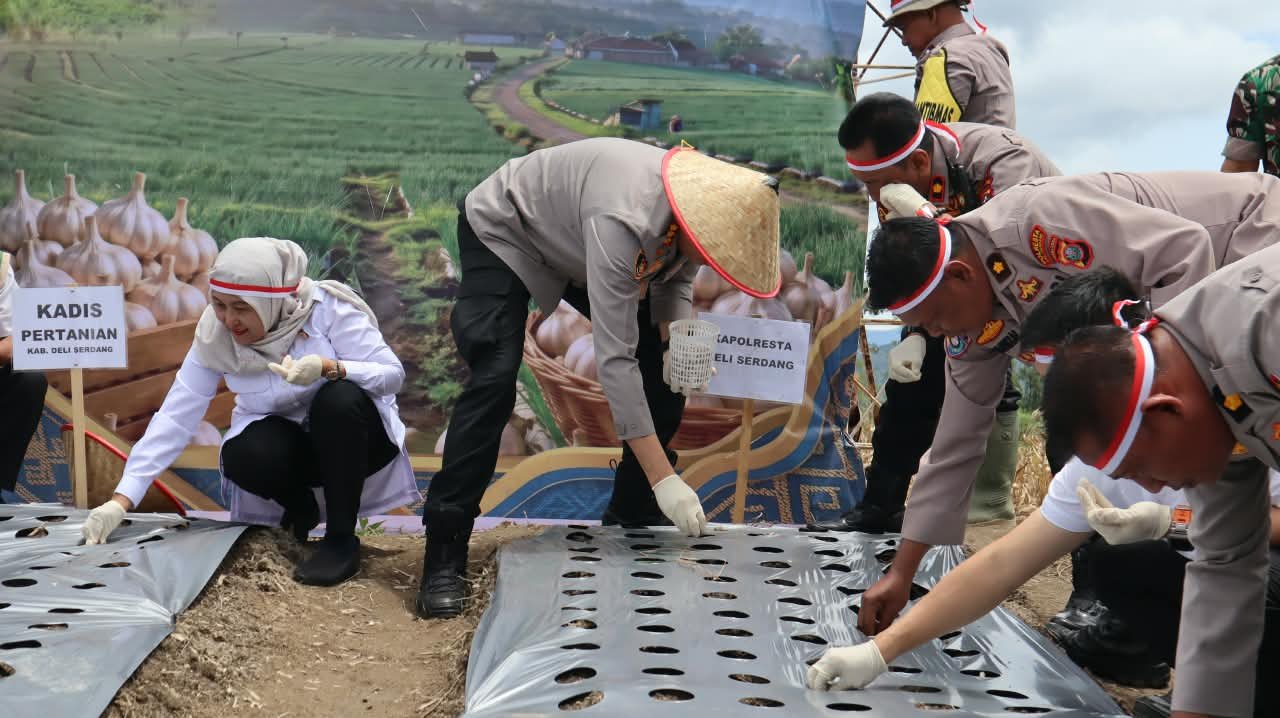 Polri Dukung Swasembada Pangan, Polresta Deli Serdang Laksanakan Penanaman Bawang Putih Serentak Di 17 Provinsi Polri Dukung Swasembada Pangan, Polresta Deli Serdang Laksanakan Penanaman Bawang Putih Serentak Di 17 Provinsi