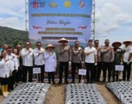Polri Dukung Swasembada Pangan, Polresta Deli Serdang Laksanakan Penanaman Bawang Putih Serentak Di 17 Provinsi