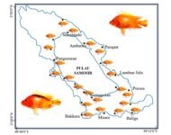 Prof Jhonson Lumban Gaol dari IPB University meneliti Ikan Red Devil yang resahkan nelayan danau Toba
