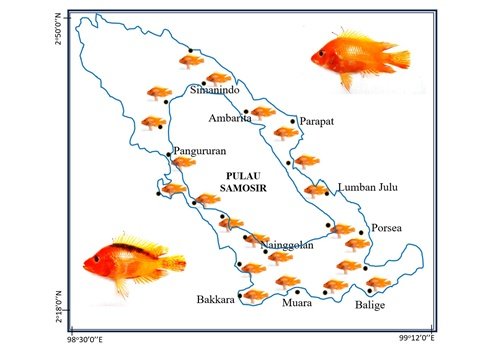 Prof Jhonson Lumban Gaol dari IPB University meneliti Ikan Red Devil yang resahkan nelayan danau Toba Prof Jhonson Lumban Gaol dari IPB University meneliti Ikan Red Devil yang resahkan nelayan danau Toba