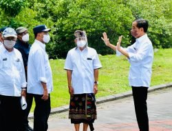 Presiden: Hutan Mangrove Bentuk Komitmen Indonesia dalam Perubahan Iklim