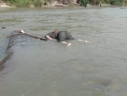 Mayat Tanpa Identitas Ditemukan Hanyut Di Aliran Sungai Ular