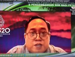 BPDPKS : Program Sarpras Untuk Tingkatkan Produktivitas Petani Sawit