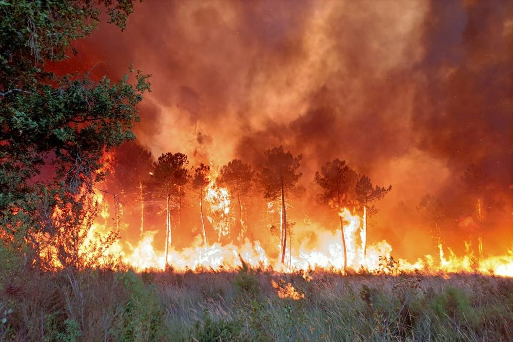 Kebakaran Rusak Hutan Prancis di dekat Atlantik saat Eropa Memanas Kebakaran Rusak Hutan Prancis di dekat Atlantik saat Eropa Memanas